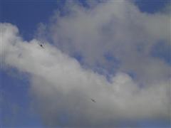 PICT1812.JPG